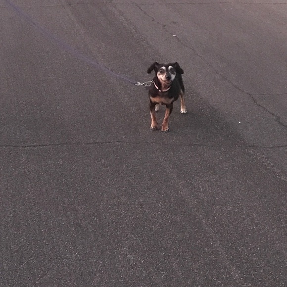 Meet your Posher, Ruth - Picture 5 of 6